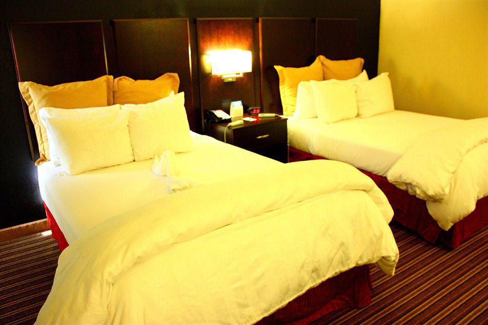 Wyndham Garden Norfolk Downtown Hotell Exteriör bild