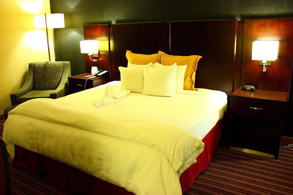 Wyndham Garden Norfolk Downtown Hotell Exteriör bild