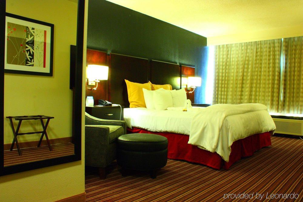 Wyndham Garden Norfolk Downtown Hotell Exteriör bild